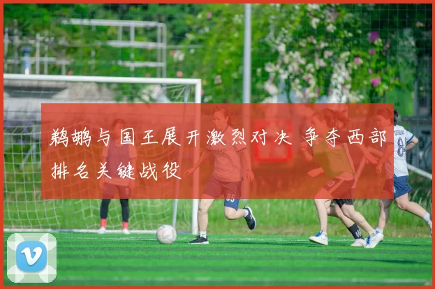 鹈鹕与国王展开激烈对决 争夺西部排名关键战役