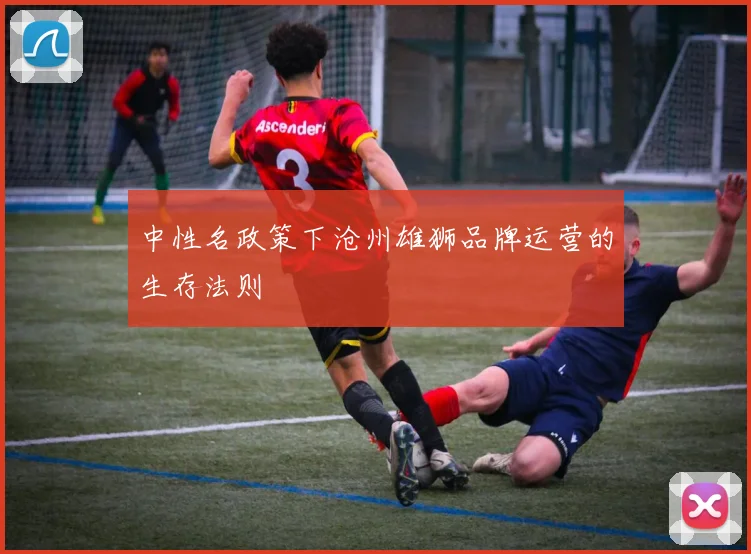 中性名政策下沧州雄狮品牌运营的生存法则