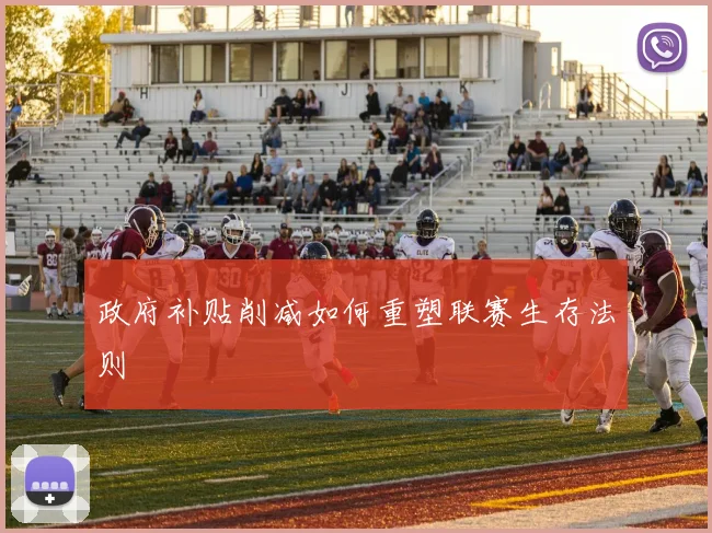 政府补贴削减如何重塑联赛生存法则