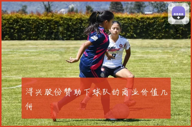 浔兴股份赞助下球队的商业价值几何