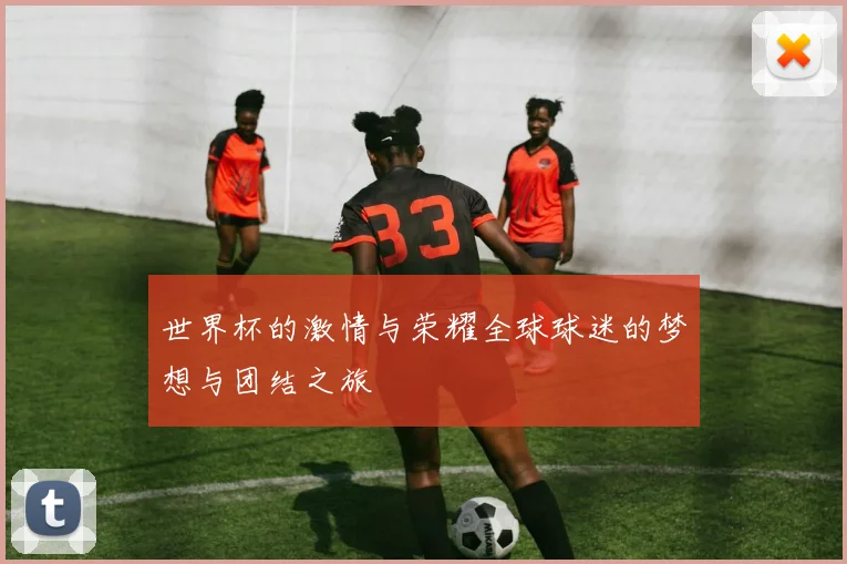 世界杯的激情与荣耀全球球迷的梦想与团结之旅