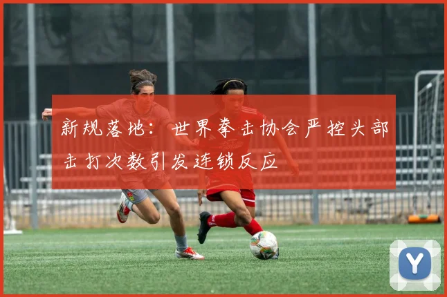 新规落地：世界拳击协会严控头部击打次数引发连锁反应