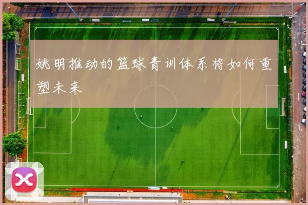 姚明推动的篮球青训体系将如何重塑未来