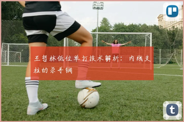 王哲林低位单打技术解析：内线支柱的杀手锏