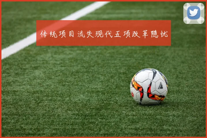 传统项目流失现代五项改革隐忧