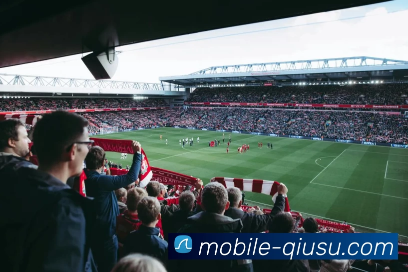 球速体育平台生态图