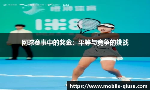 球速体育官网