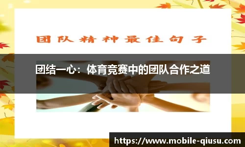 球速体育