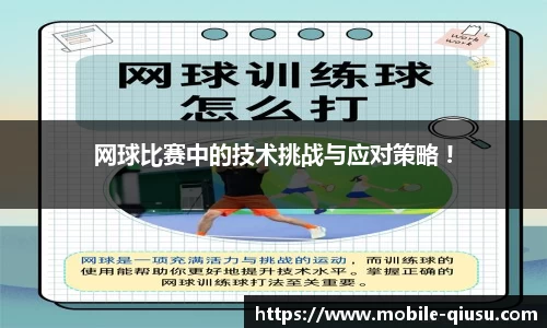 球速体育