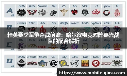 球速体育官方网站