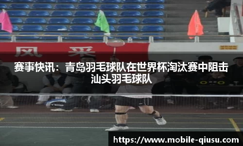 球速体育官网